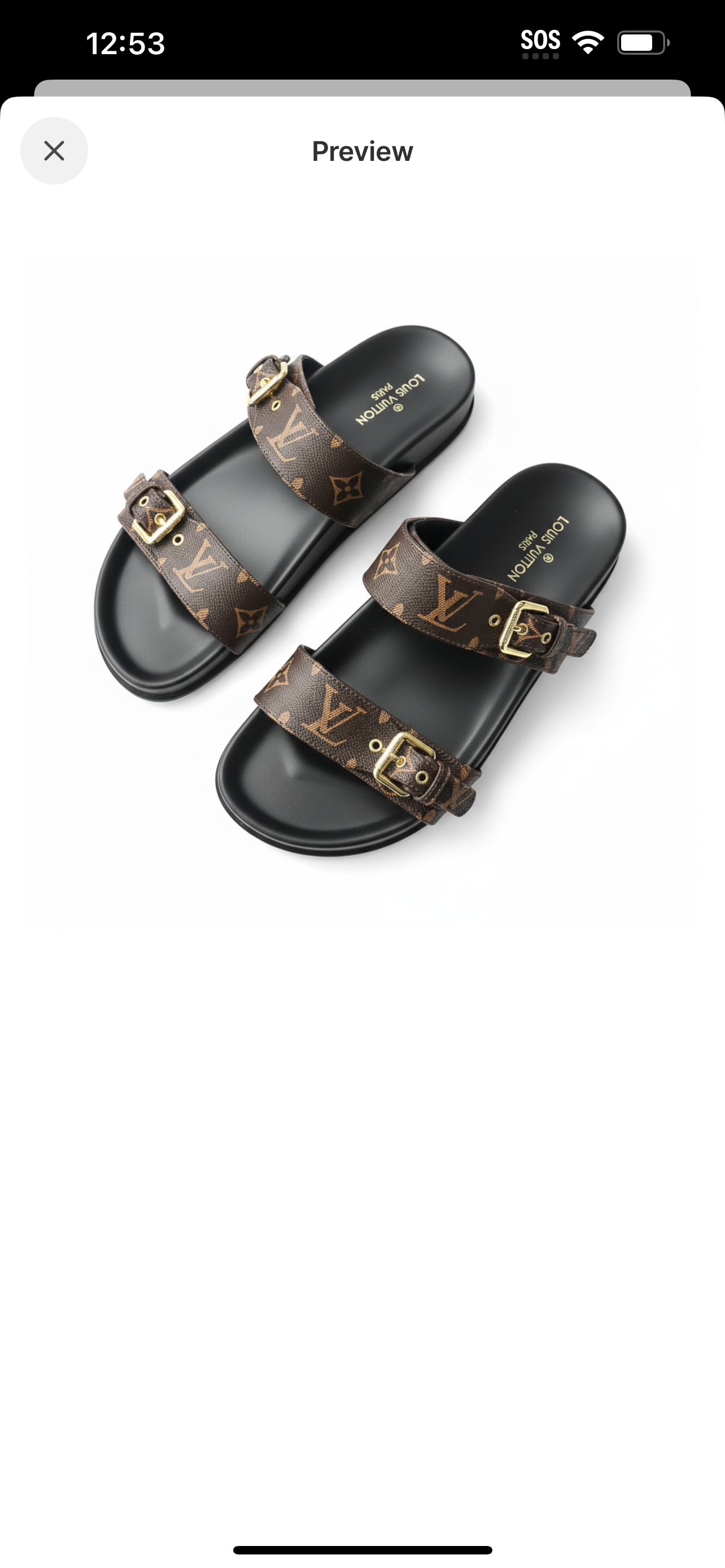 Louis Vuitton