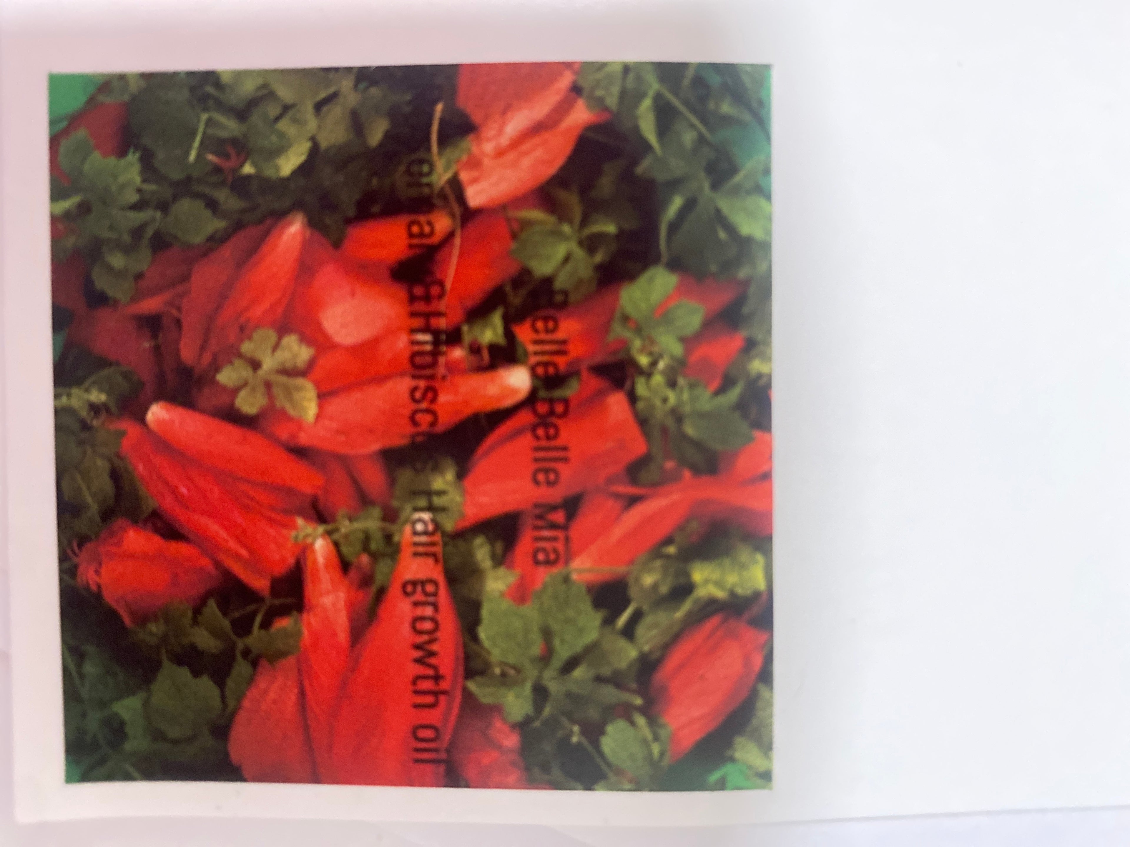Rosemary&Hibiscus Hair growth oil